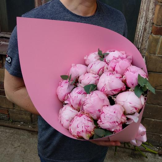 15 ароматных пионов Сара Бернар_5eff4363dc51b.jpeg